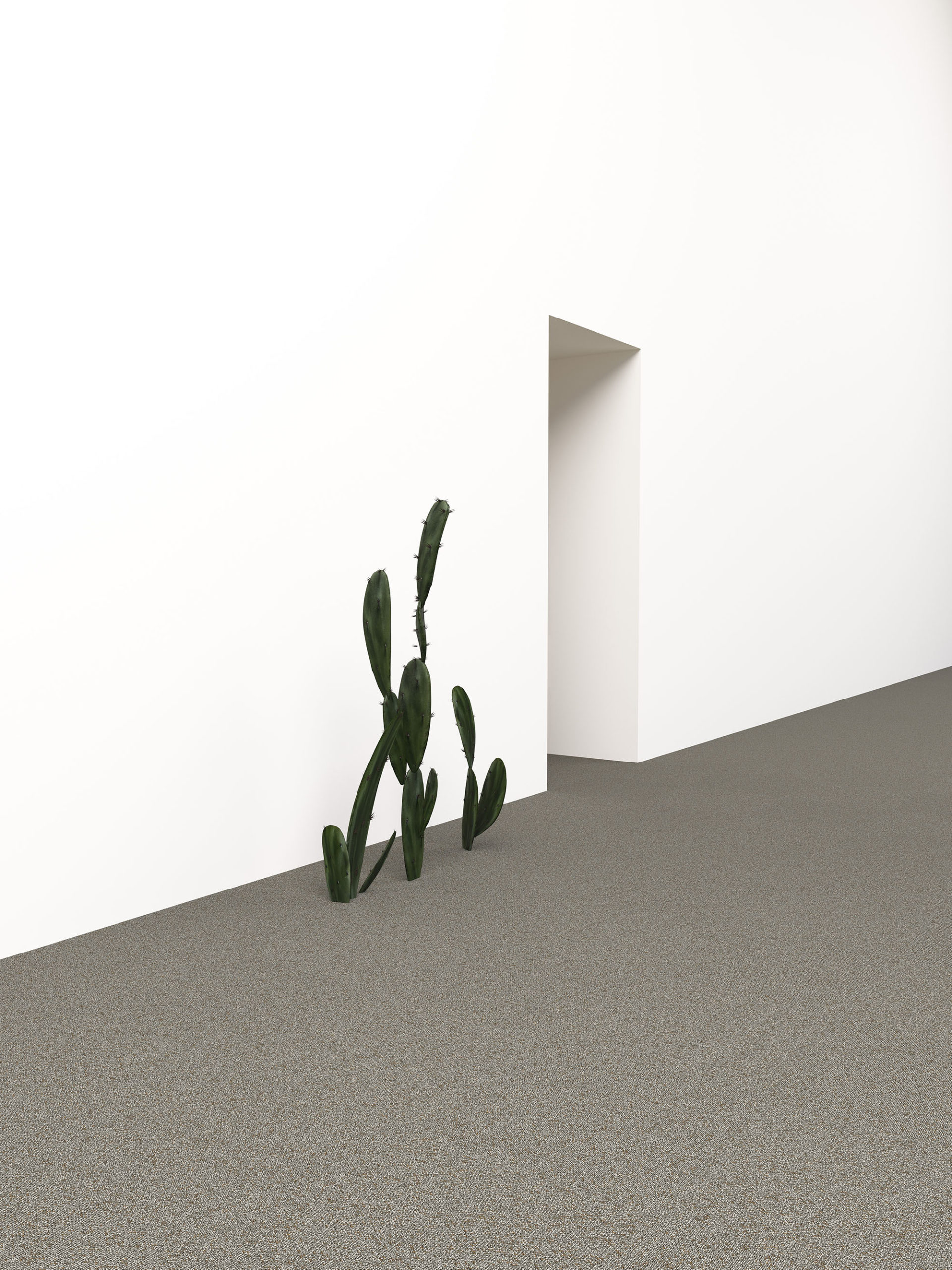 Anticosti_Sphagnum_dune_imaginaire_scene_12_web